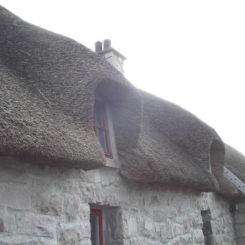 Wunderschön mit Reet ausgebildete Dachfenster an einem alten Bruchsteinhaus in Irland.