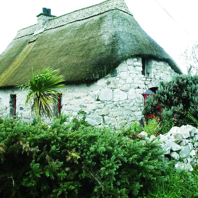 Reetdach auf einem Haus in Irland.