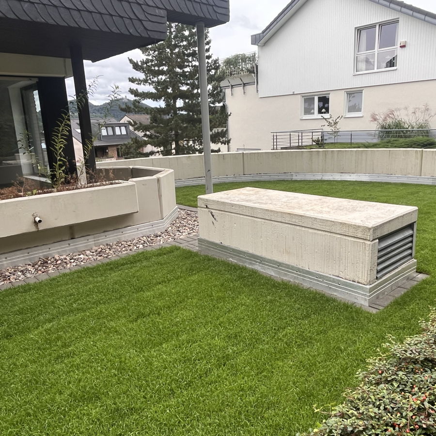 rasen auf dach